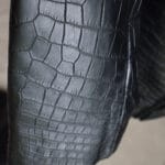 Crocodile Jacket