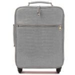 灰色鳄鱼行李套装