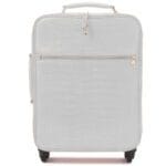 白色鳄鱼行李前部