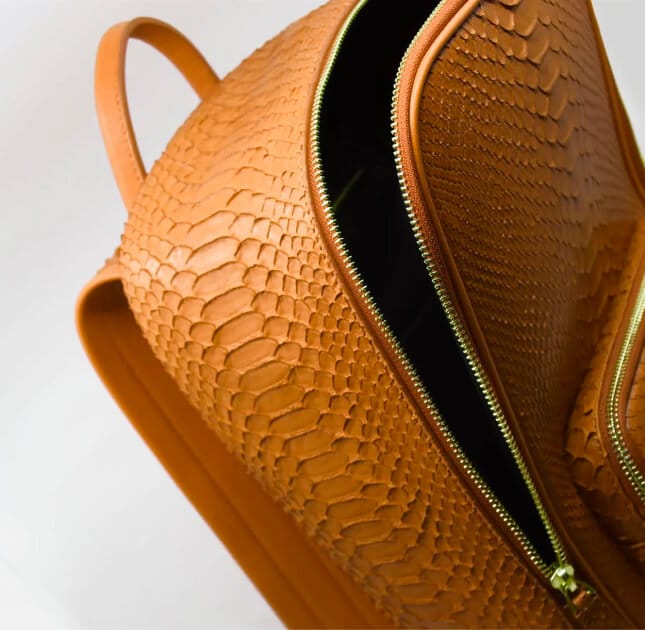 Most Popular WordPress Theme