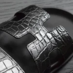 أسود-تمساح-صنادل